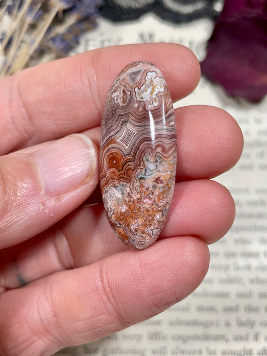 Agate (Crazy Lace Agate) Cabochon