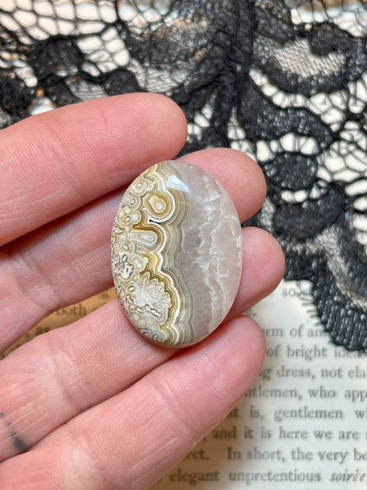 Agate (Crazy Lace Agate) Cabochon
