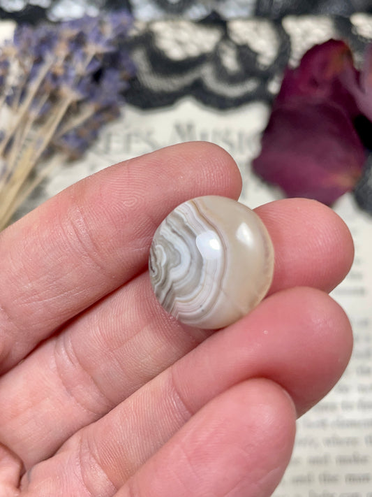Agate (Crazy Lace Agate) Cabochon