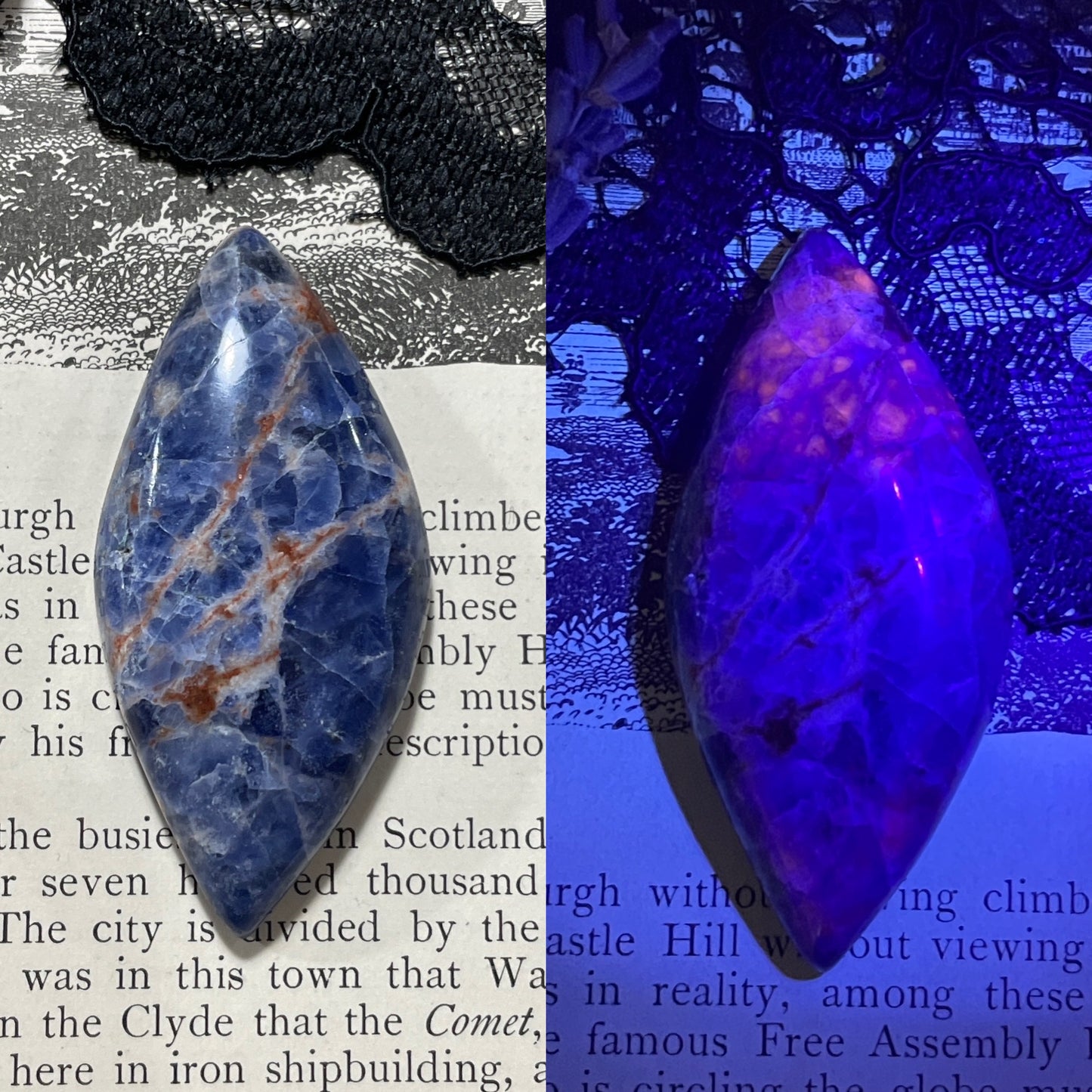 Sodalite Cabochon