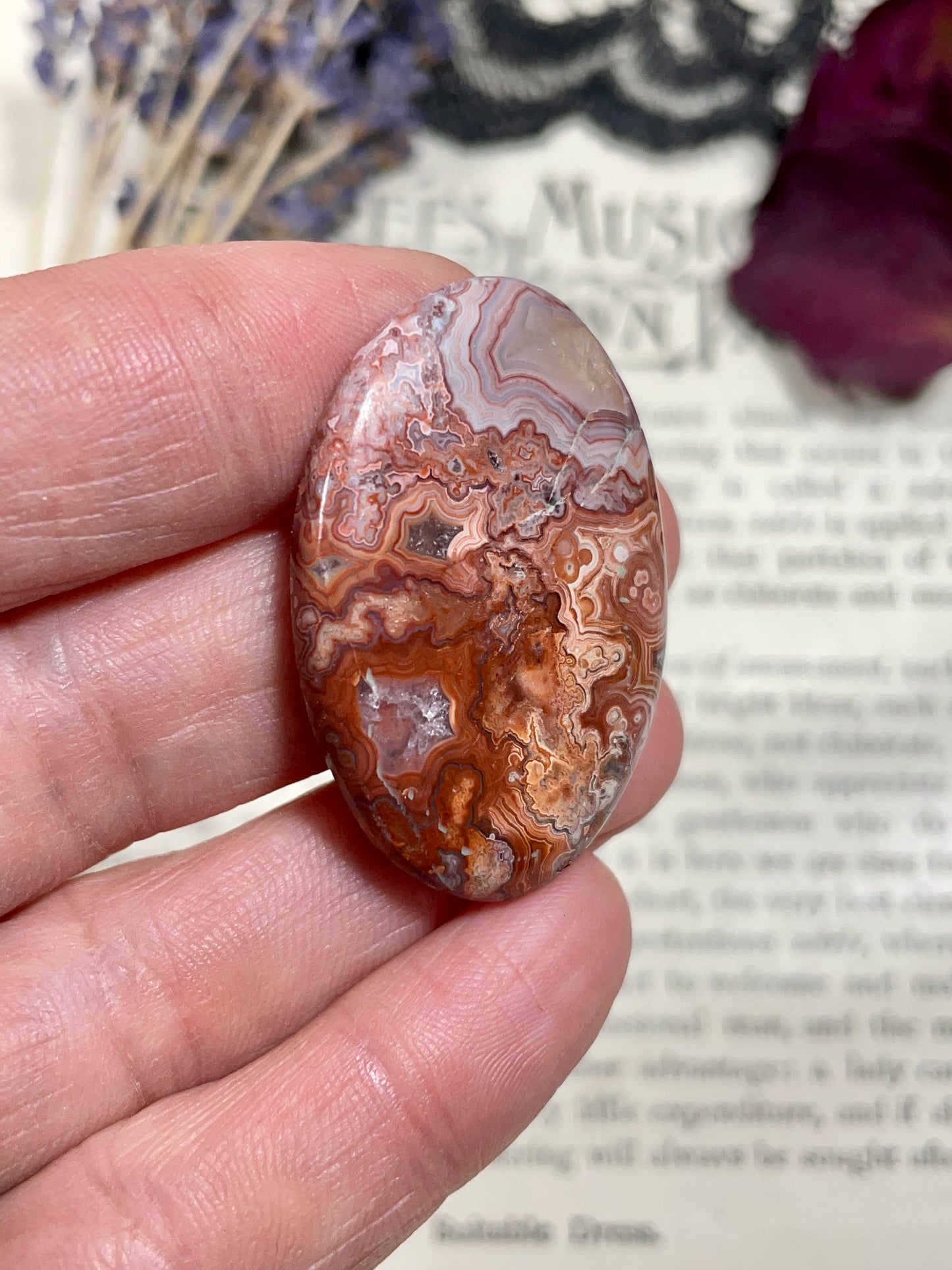 Agate (Crazy Lace Agate) Cabochon