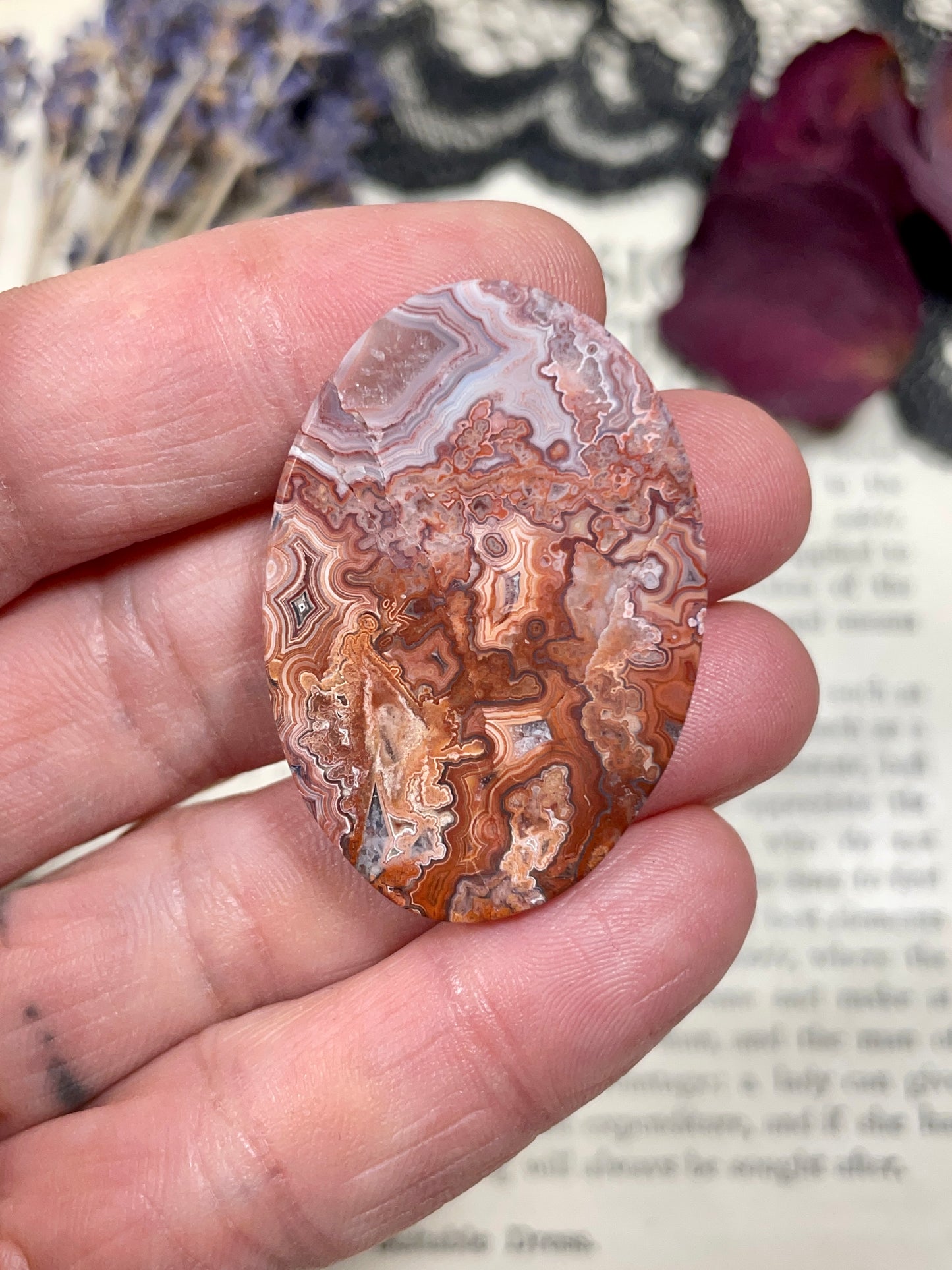 Agate (Crazy Lace Agate) Cabochon