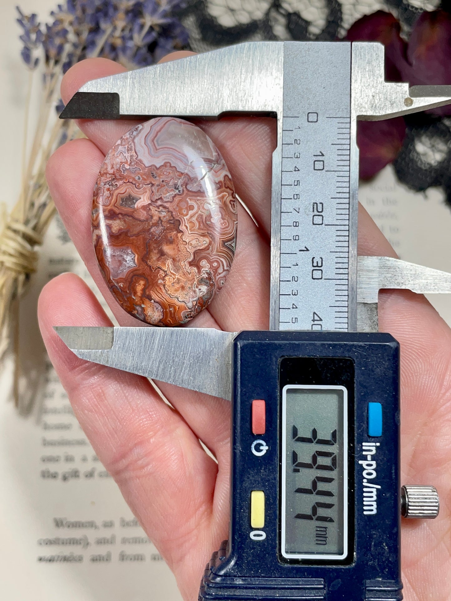 Agate (Crazy Lace Agate) Cabochon