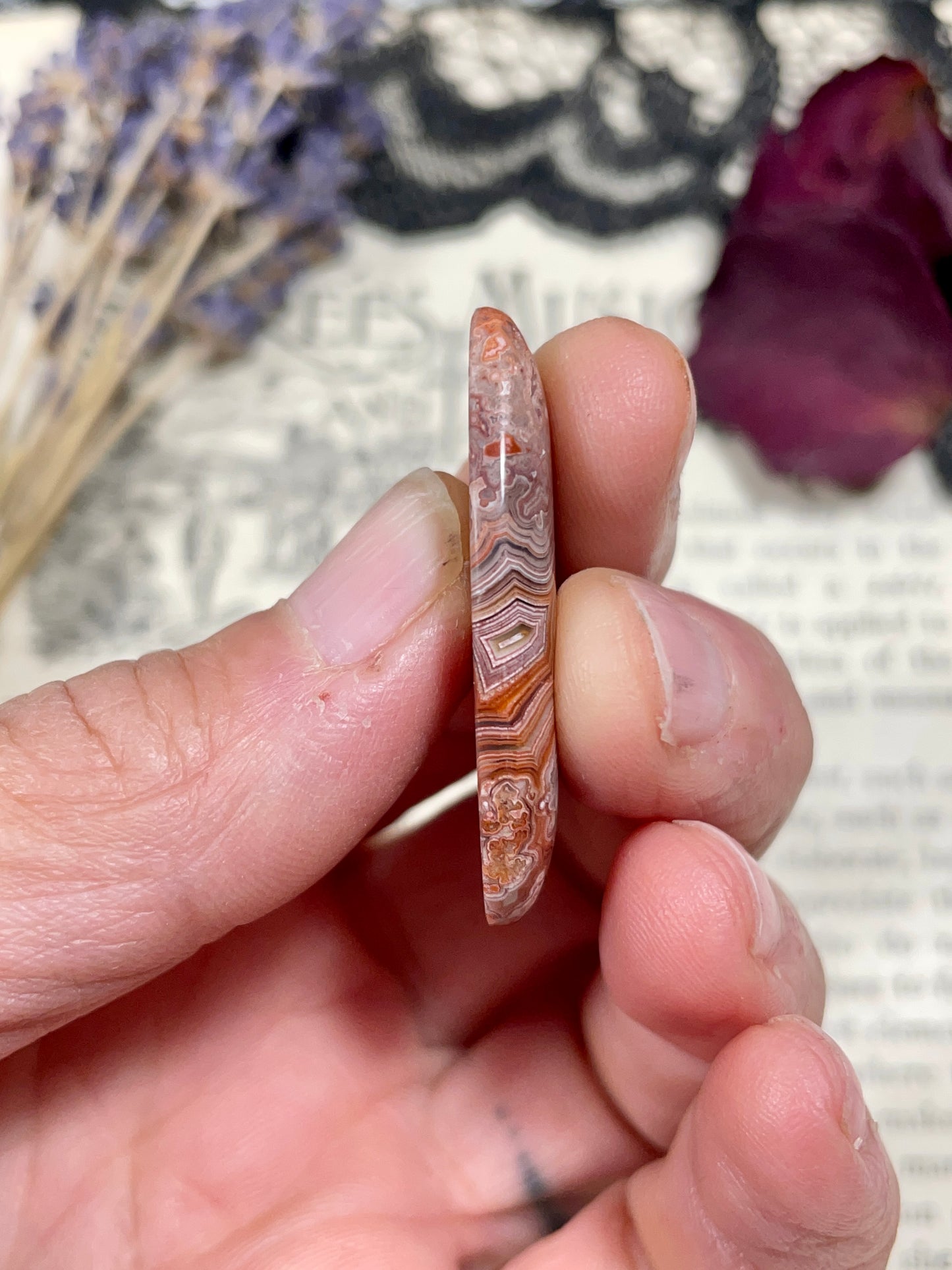 Agate (Crazy Lace Agate) Cabochon