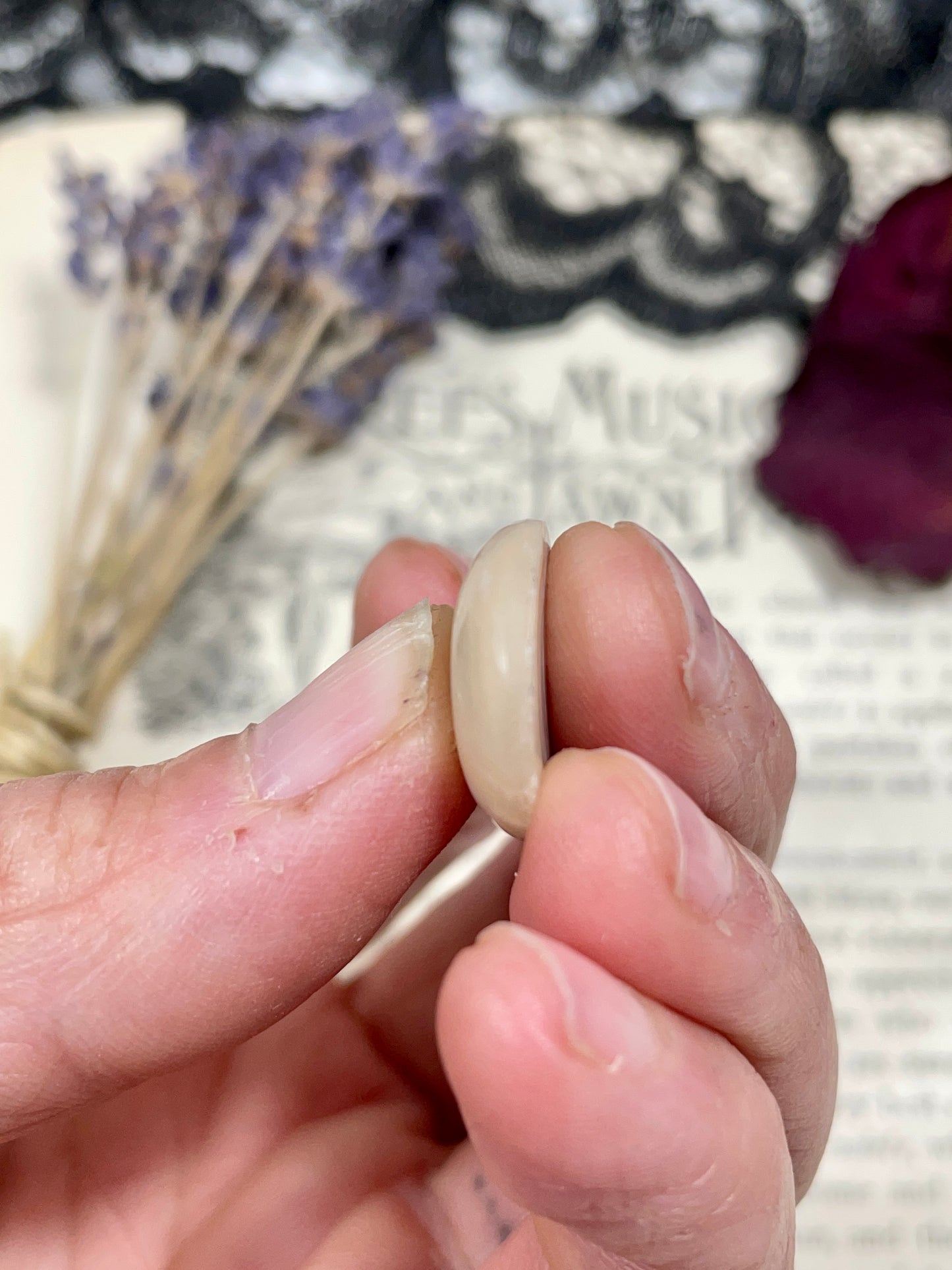 Agate (Crazy Lace Agate) Cabochon