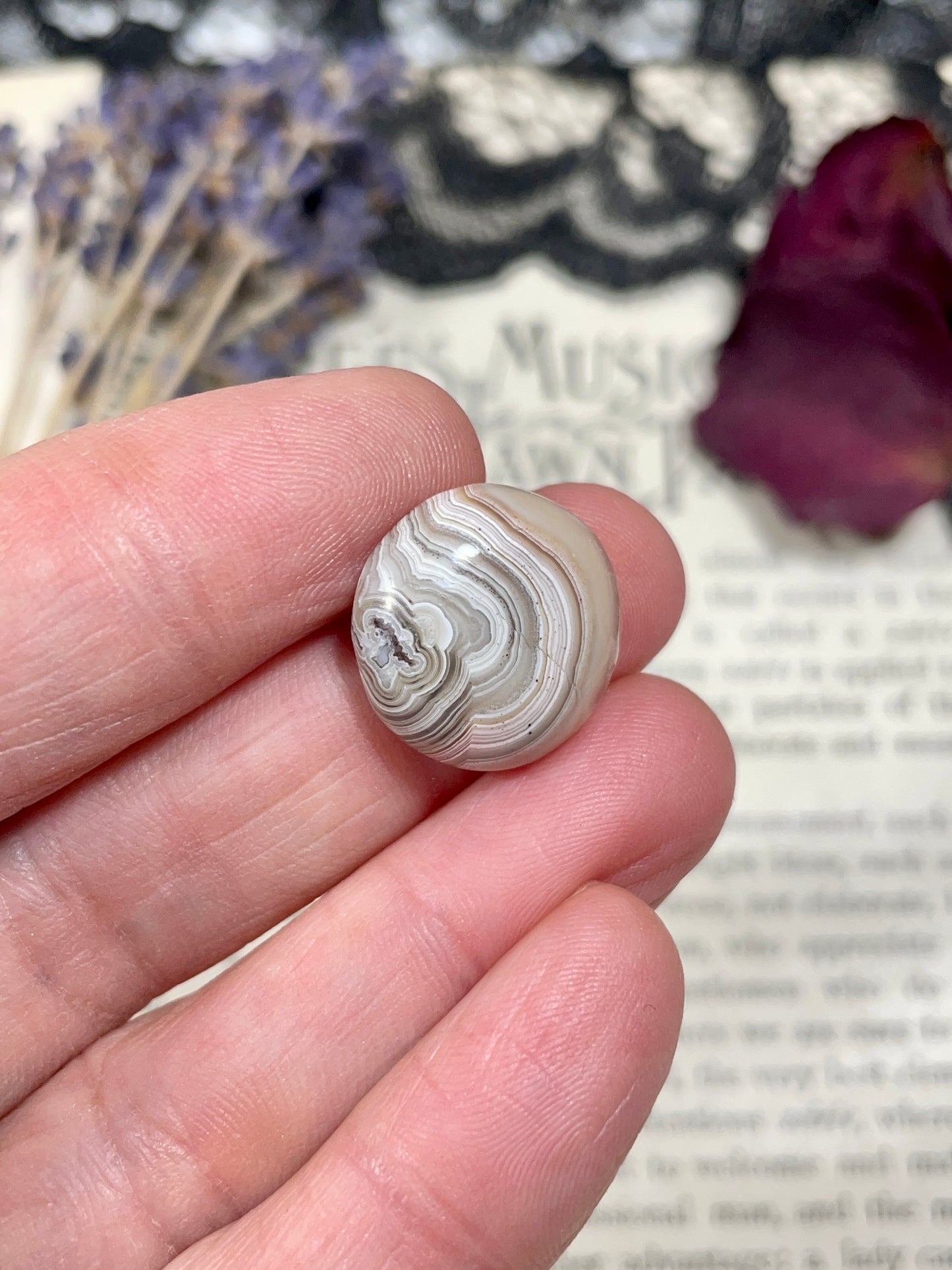 Agate (Crazy Lace Agate) Cabochon