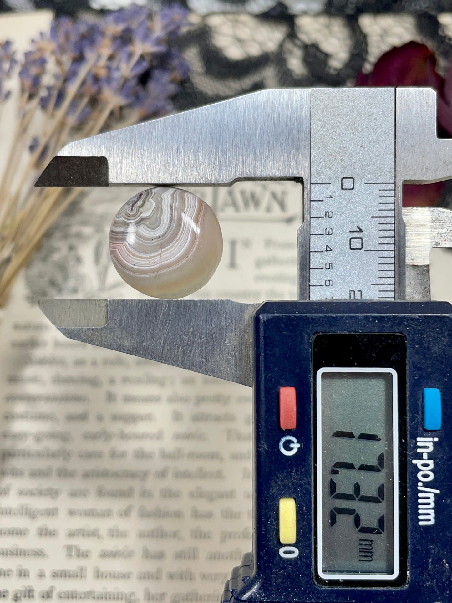 Agate (Crazy Lace Agate) Cabochon