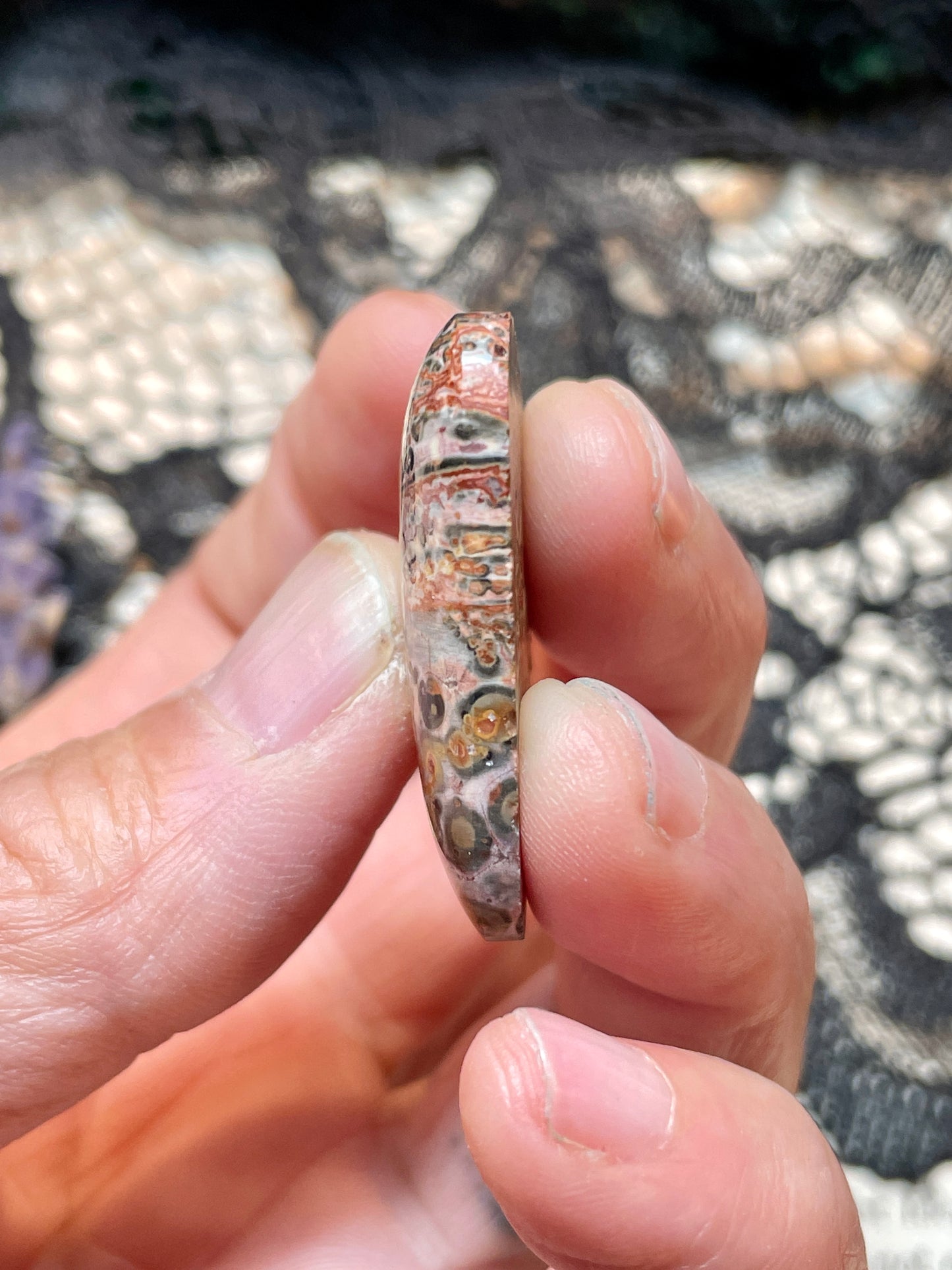 Jasper (Leopard Skin Jasper) Cabochon