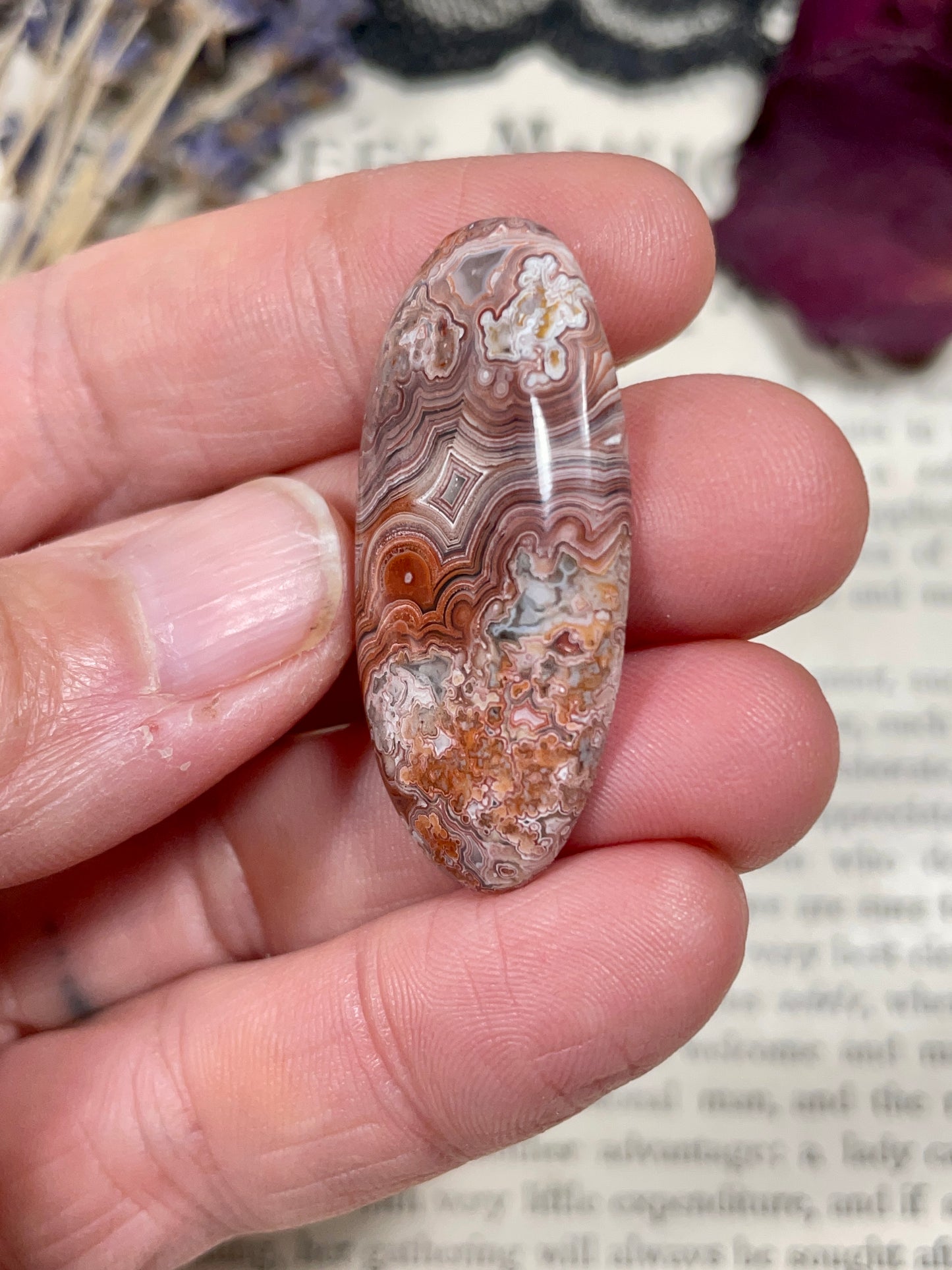 Agate (Crazy Lace Agate) Cabochon