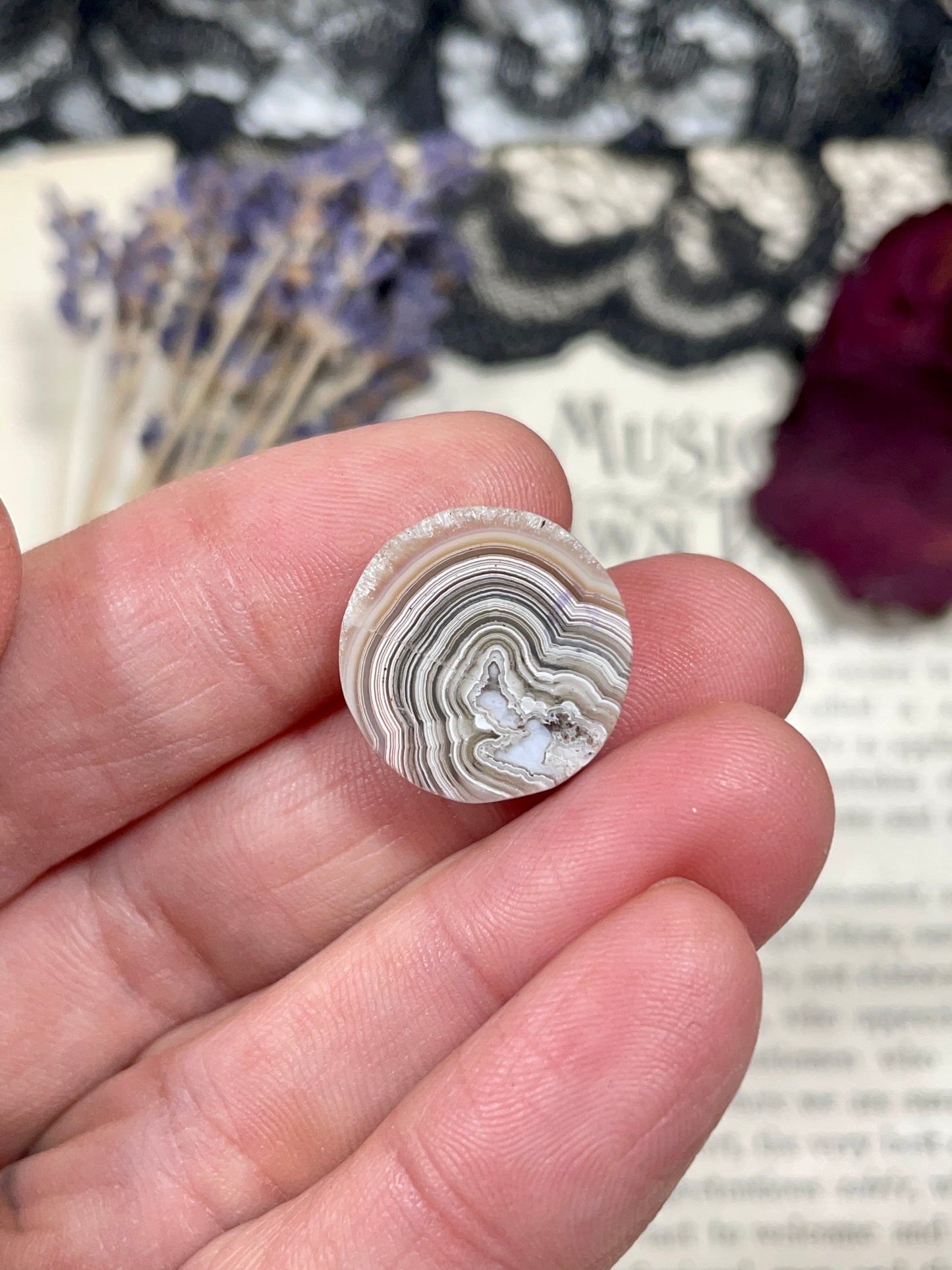 Agate (Crazy Lace Agate) Cabochon