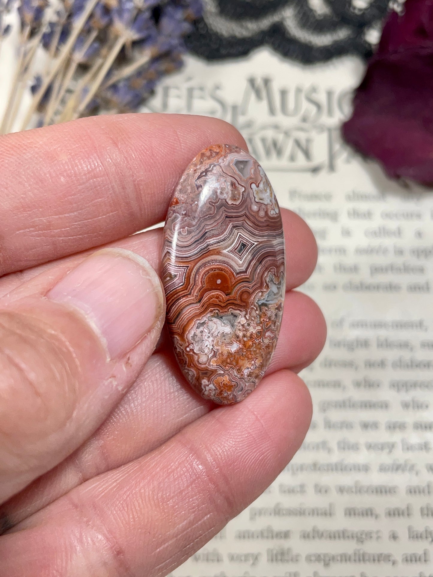 Agate (Crazy Lace Agate) Cabochon