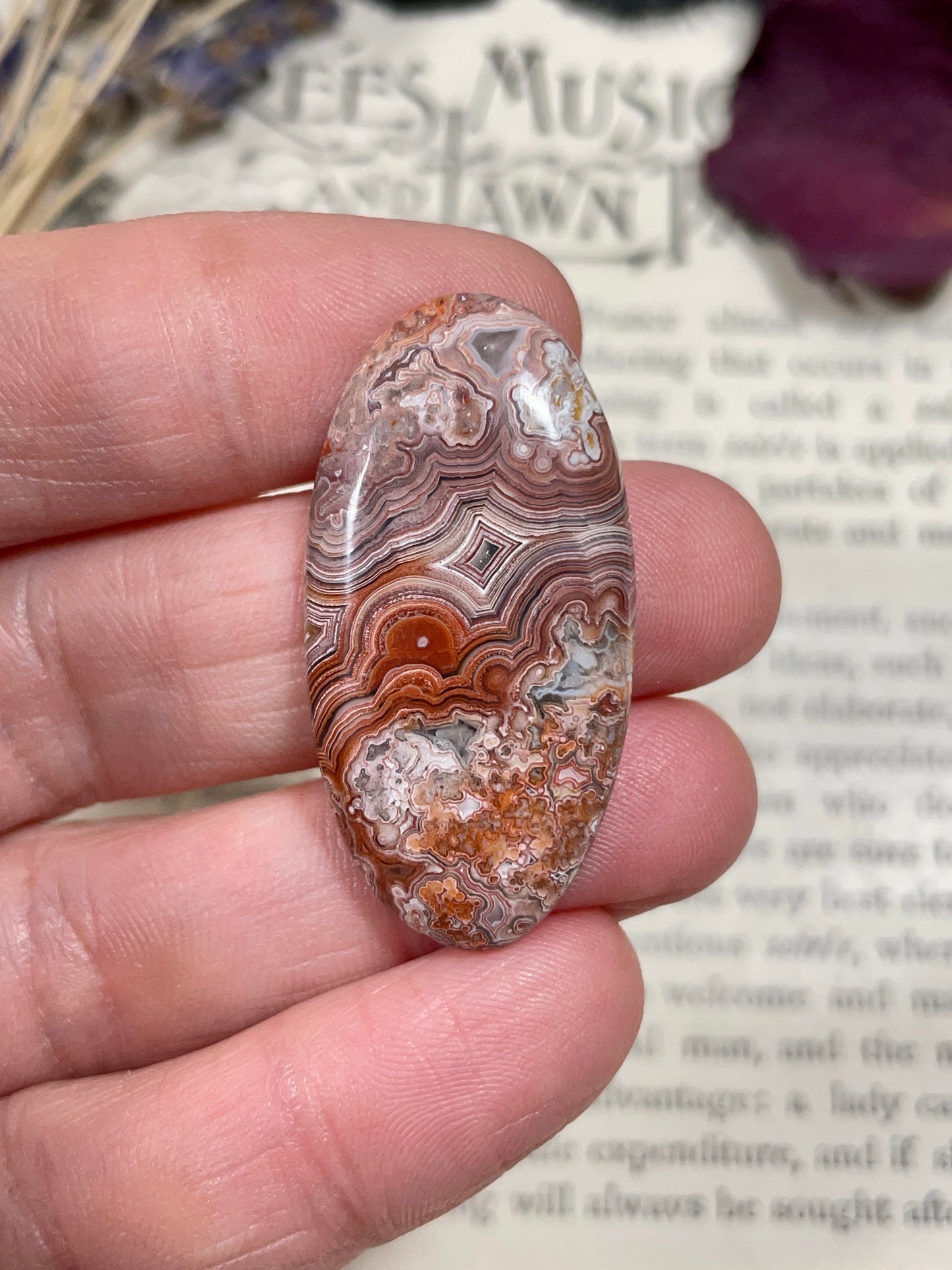 Agate (Crazy Lace Agate) Cabochon