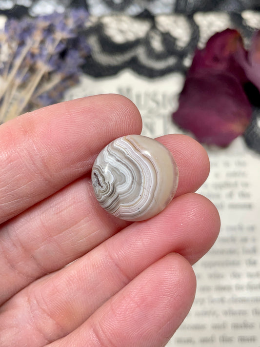 Agate (Crazy Lace Agate) Cabochon