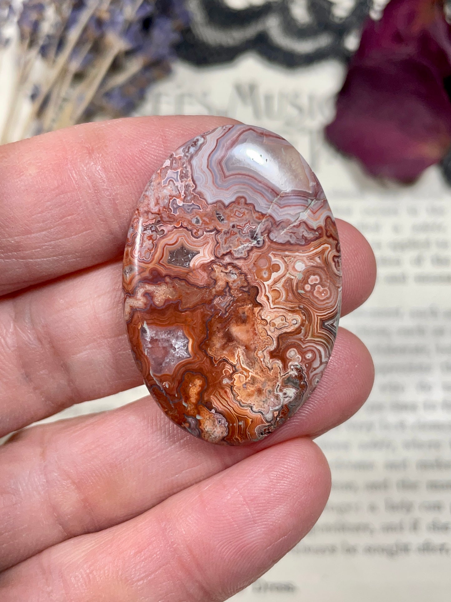 Agate (Crazy Lace Agate) Cabochon