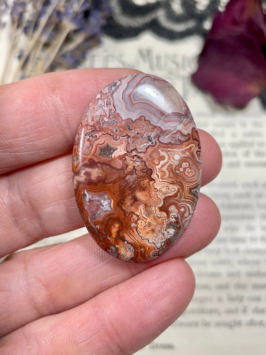 Agate (Crazy Lace Agate) Cabochon