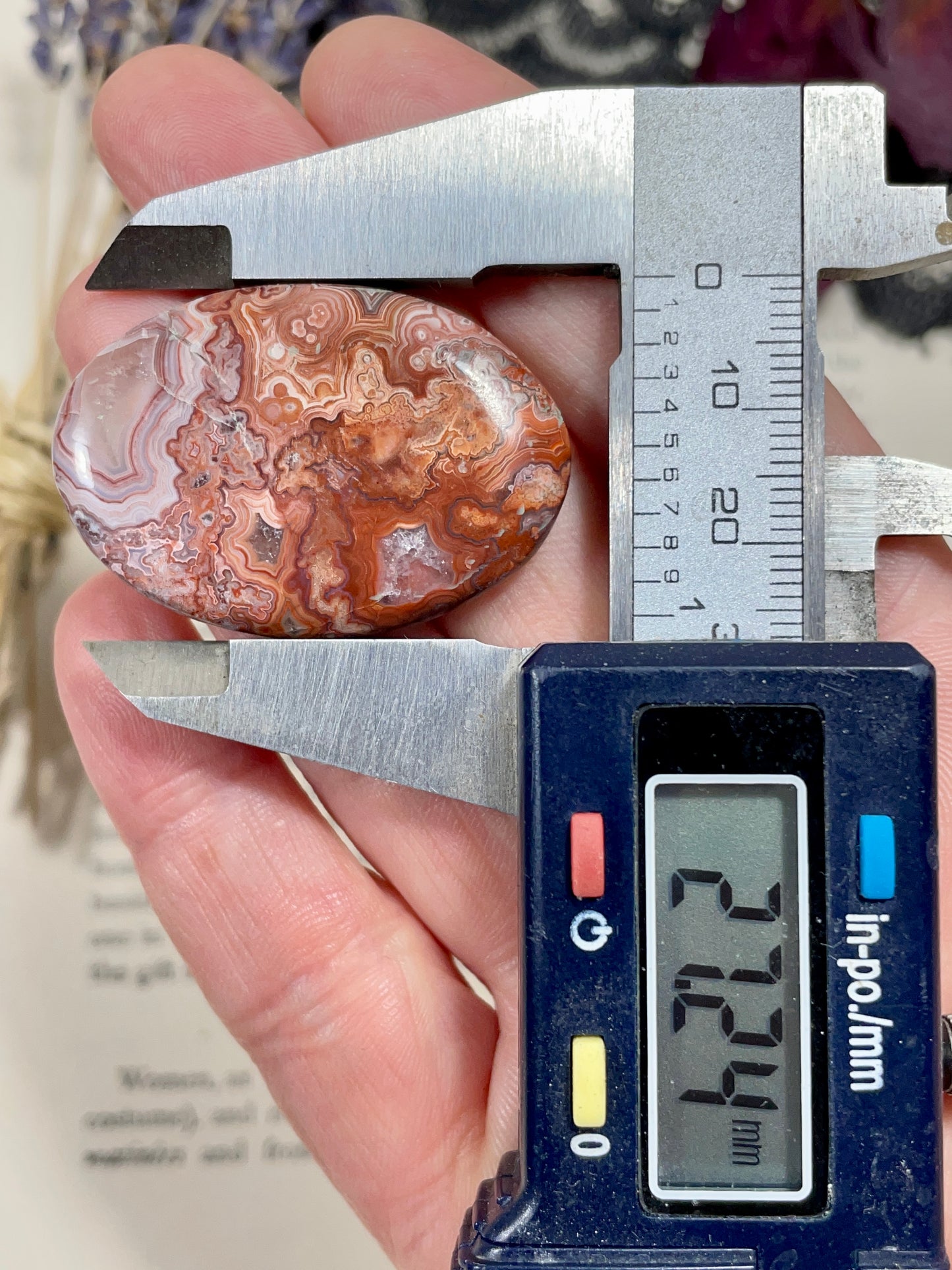 Agate (Crazy Lace Agate) Cabochon